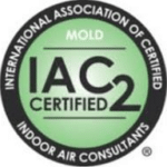 mold 2 1